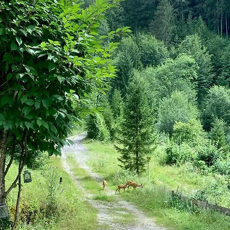 Waldgrubhaus Hinterthiersee