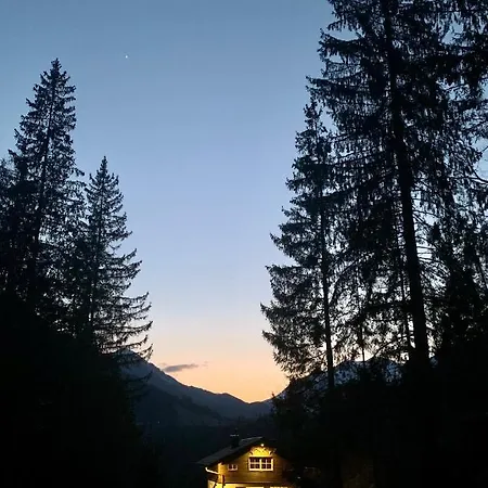 Chalet Waldgrubhaus